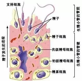 任你博·(中国)官方网站